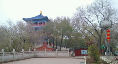 天山天池 吐魯番–鄯善沙漠雙飛五天